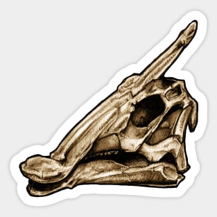 Dinosaur Skull Saurolophus Sticker